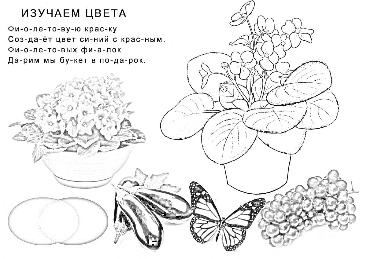 Раскраска горшок с цветами, кружочки, баклажаны, бабочка, виноград