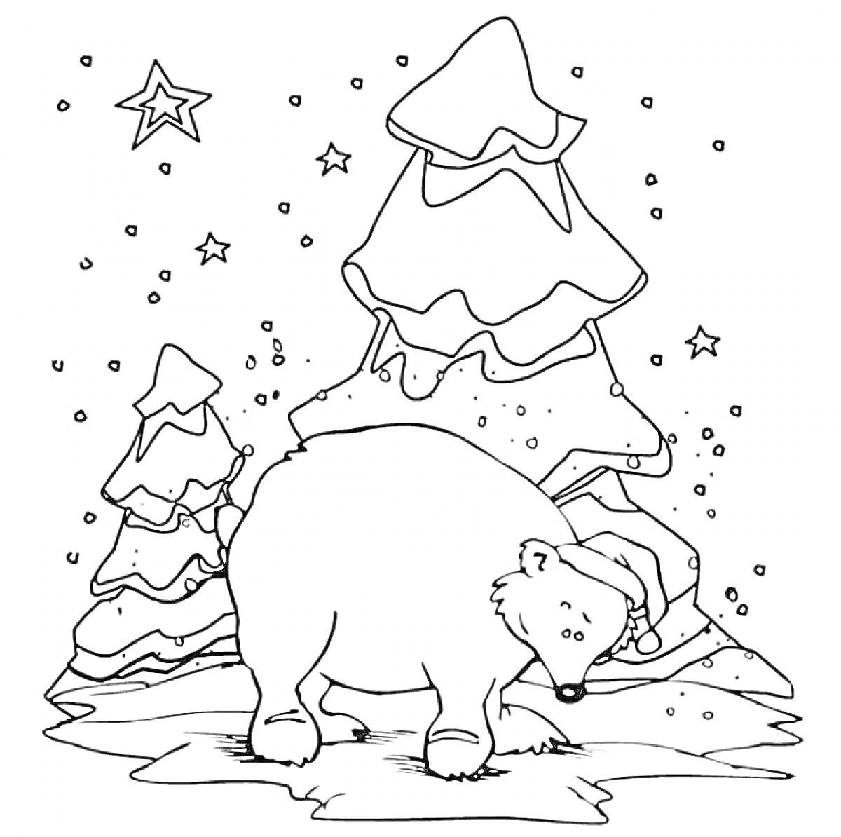 На раскраске изображено: Белый медведь, Рождественская шапка, Елки, Снег, Звезды, Зима, Природа, Новогоднее настроение