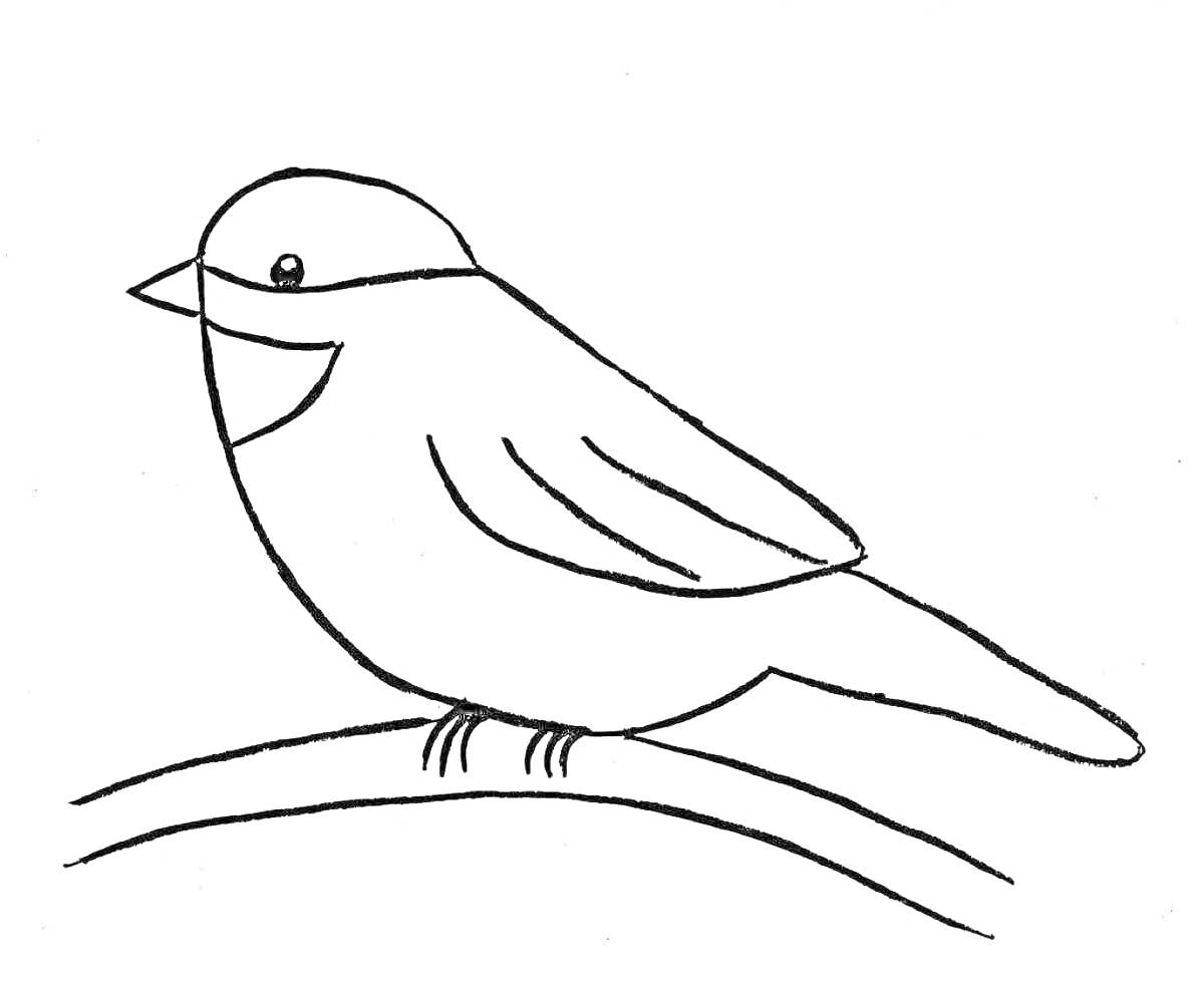 На раскраске изображено: Ветка, Птица, Для детей, Природа, Дети 3-4 года, Развивающие, Синица
