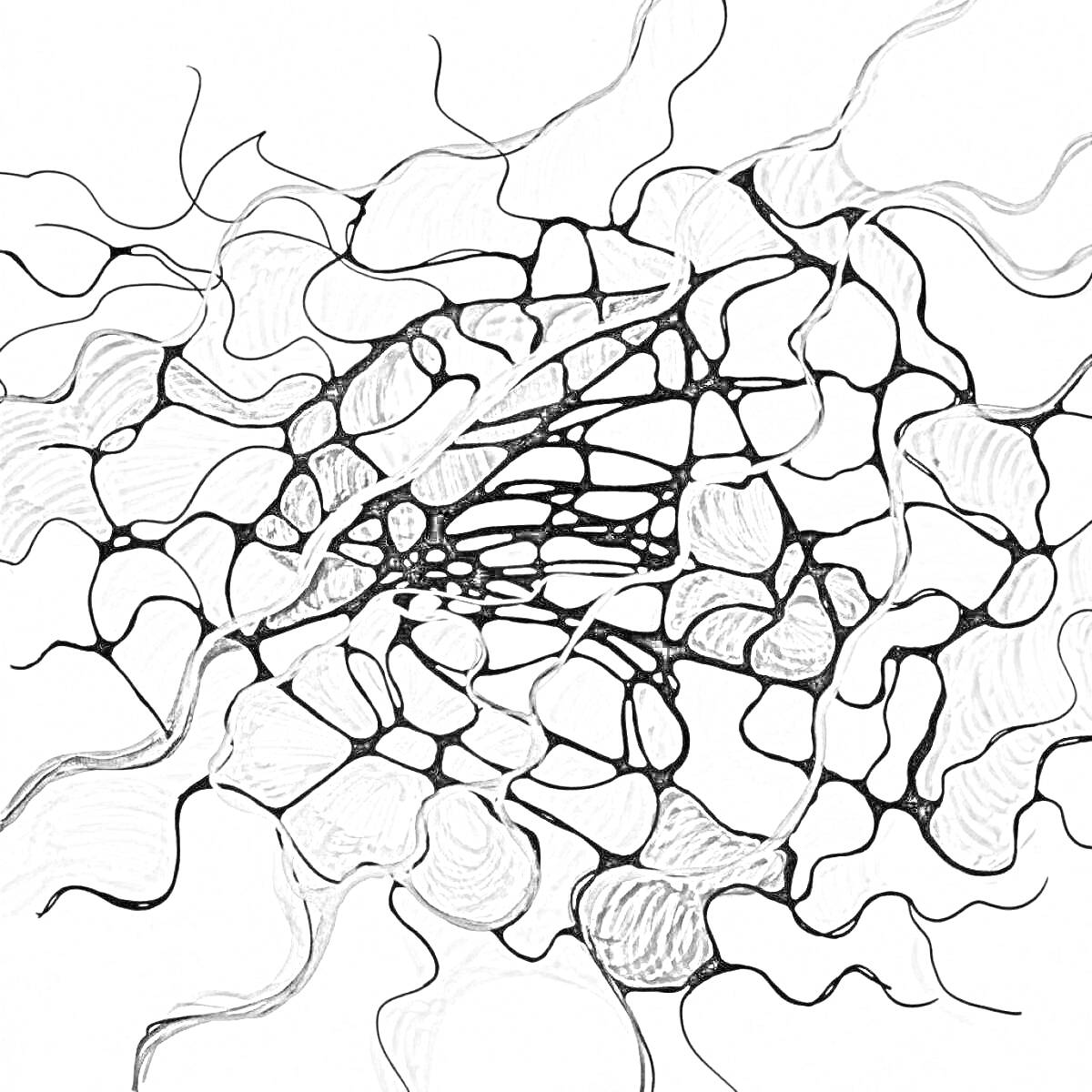 Раскраска Узоры нейрографики с разноцветными абстрактными формами и линиями