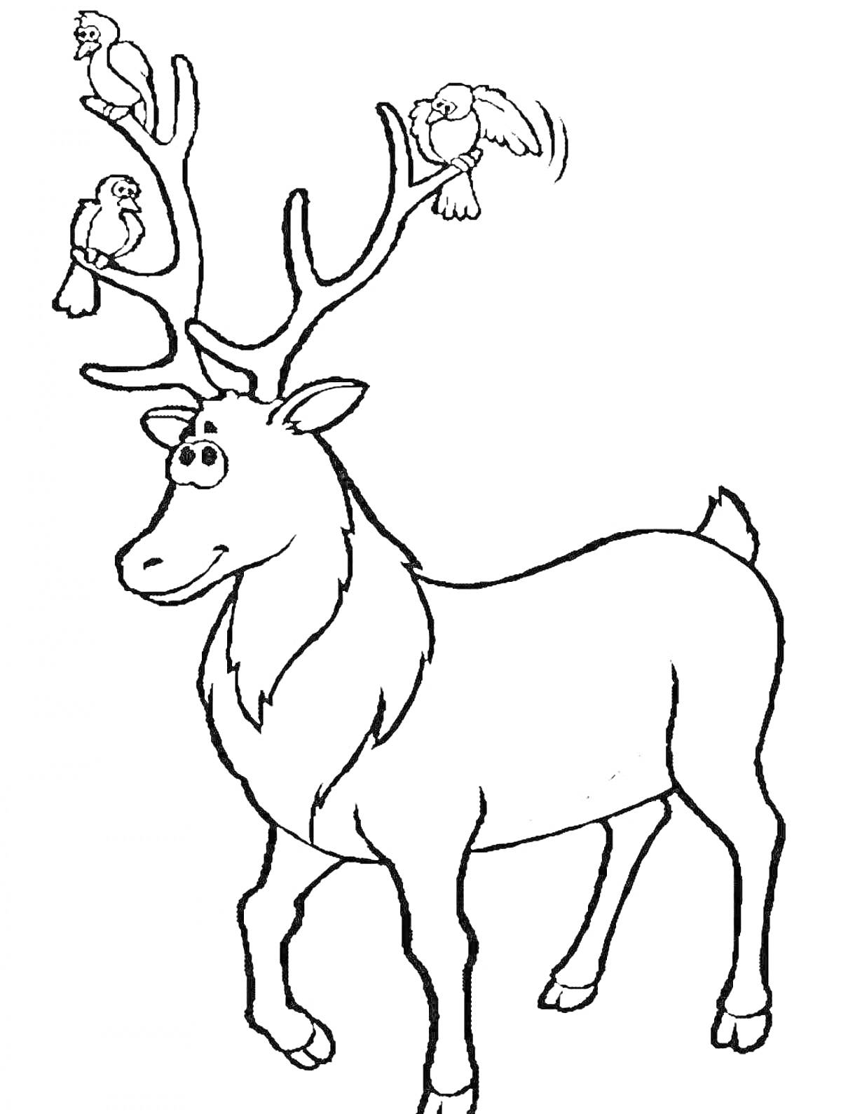 На раскраске изображено: Северный олень, Олень, Лес, Для детей, Птица, Животные, Развлечения