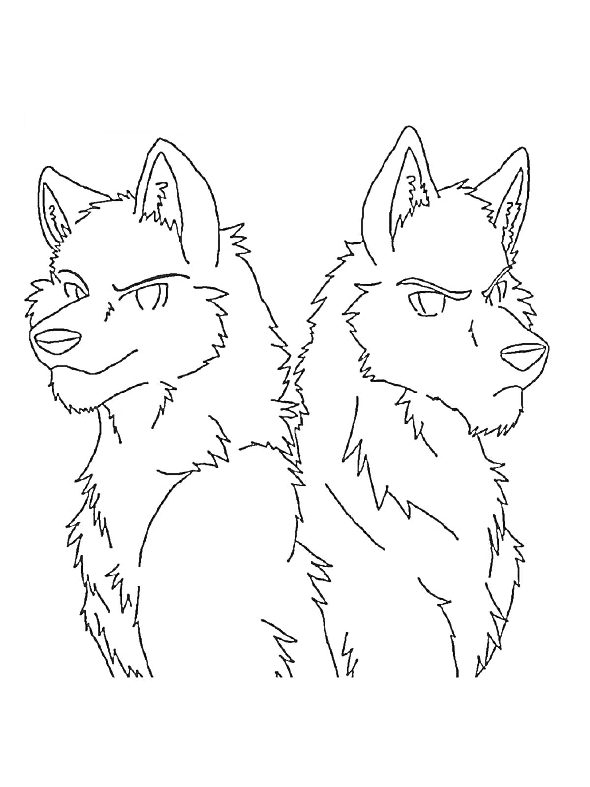 Раскраска Два волка в стиле аниме, смотрят в разные стороны