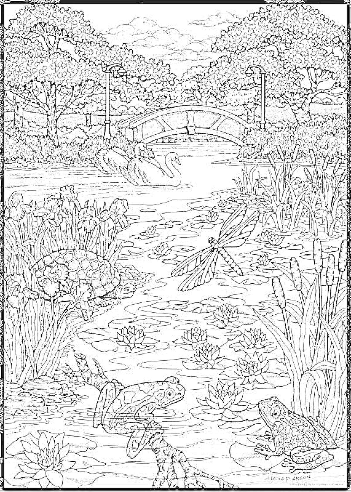 На раскраске изображено: Природа, Лес, Пруд, Черепаха, Лебедь, Мост, Водные растения