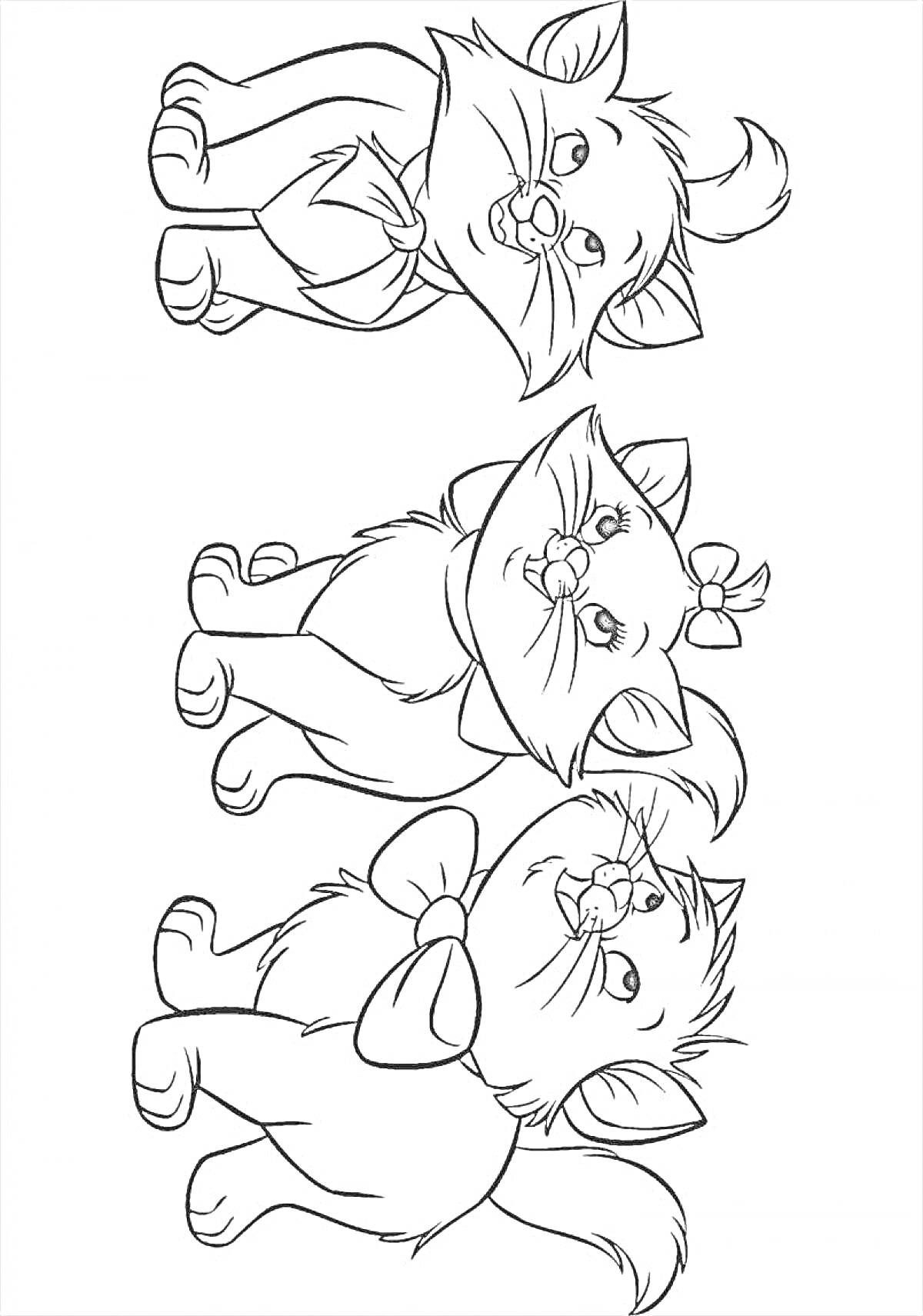 Раскраска Три котенка, с бантиками на шее и голове