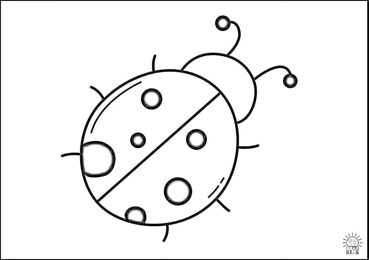 Раскраска Божья коровка с пятью пятнами, антенной и ножками