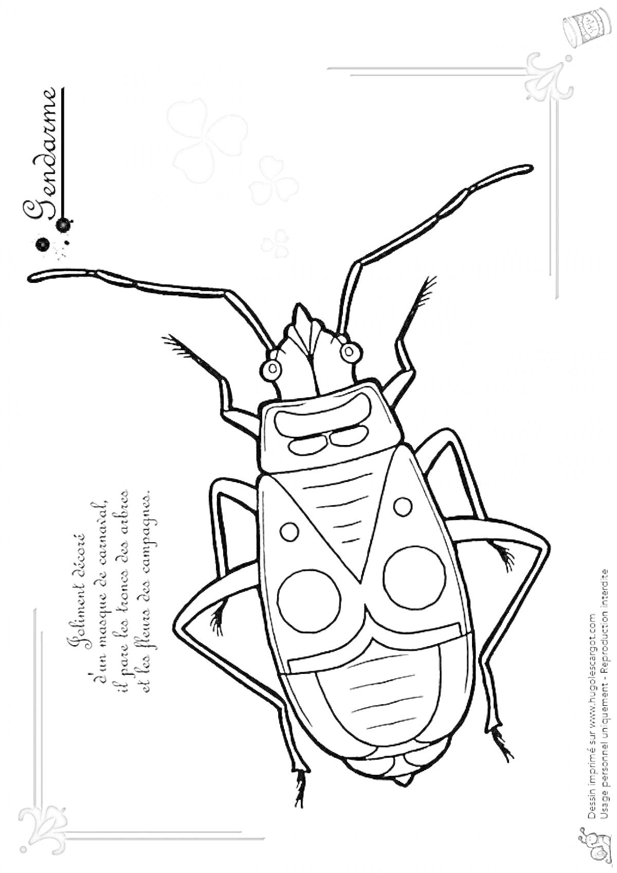 Раскраска с клопом, декоративные элементы: текст 