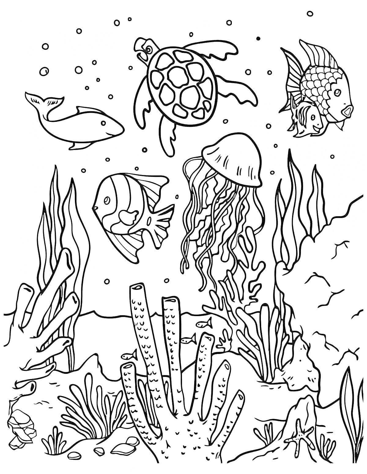 На раскраске изображено: Море, Морское дно, Черепаха, Рыба, Медуза, Водоросли, Кораллы, Подводный мир