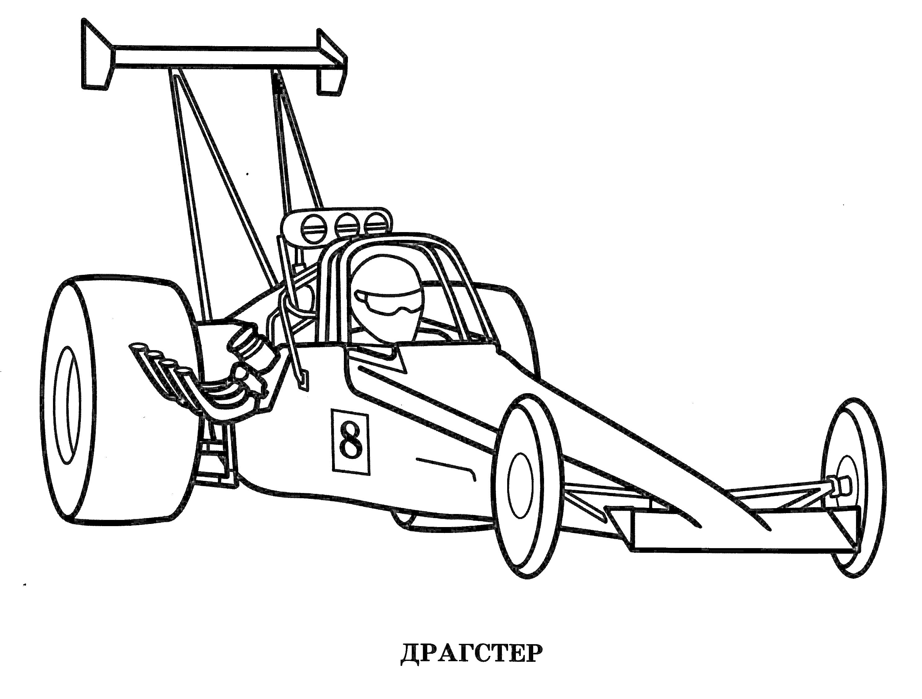Драгстер с водителем, спойлером, номером 8 и деталями двигателя