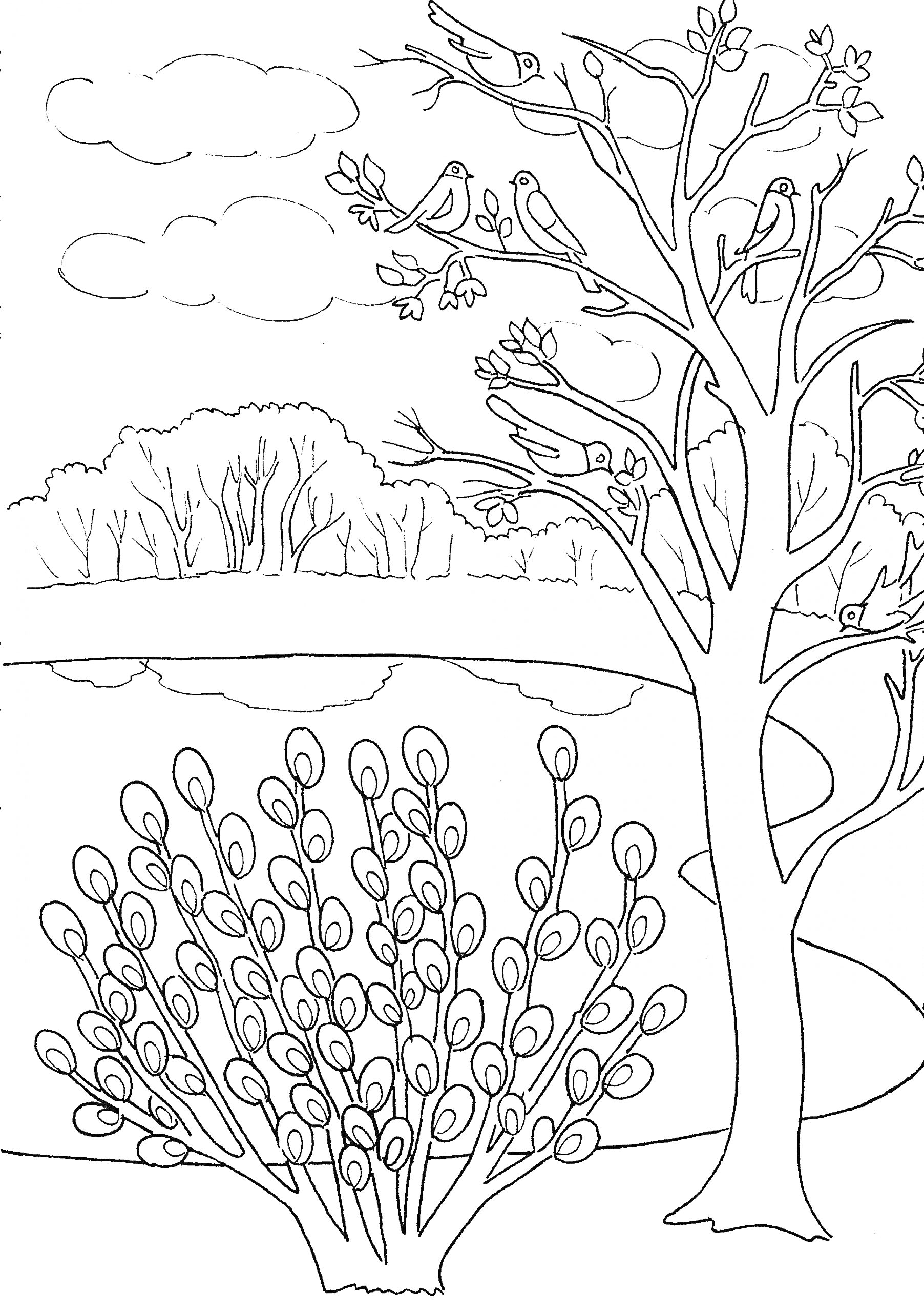 Раскраска Весенний пейзаж с птицами на дереве и кустом вербы у озера