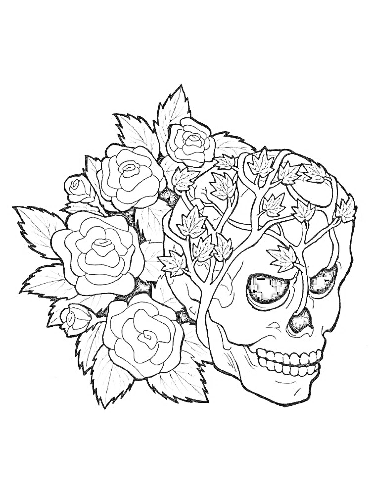 На раскраске изображено: Антистресс, Череп, Розы, Листья, Цветы