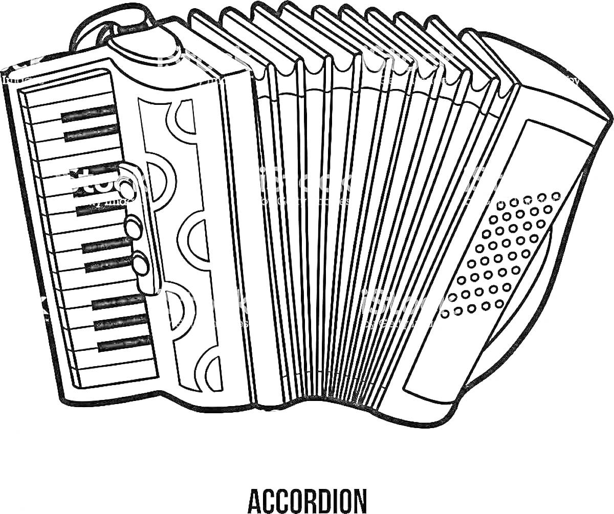 Раскраска Гармонь с клавишами, кнопками и мехами