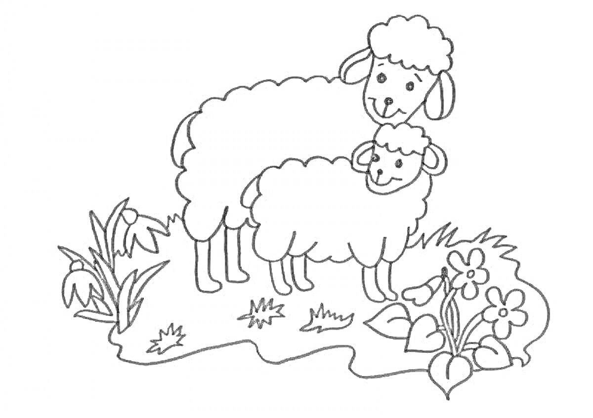Раскраска Два ягненка на поляне с цветами и травой