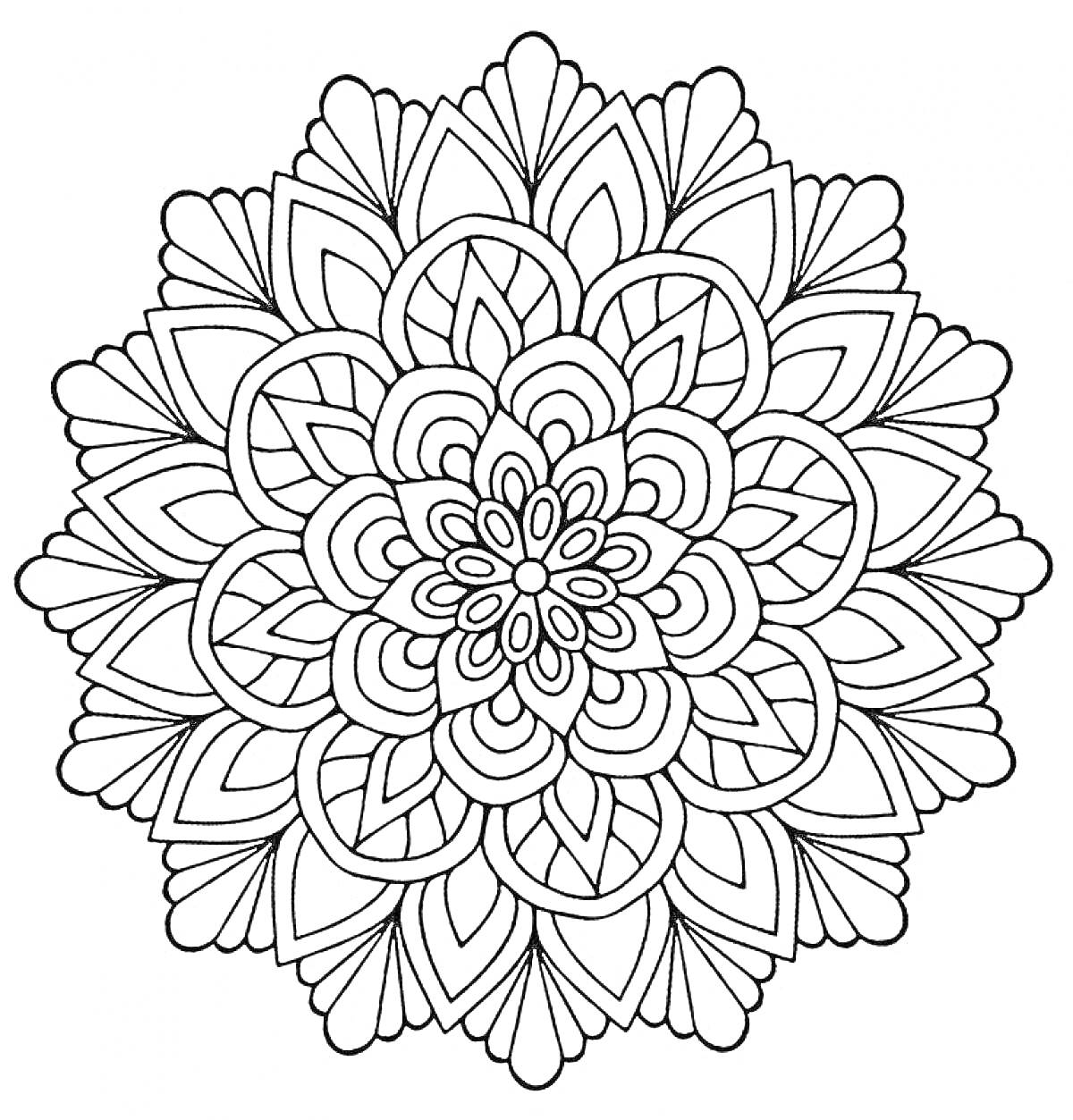 Раскраска Антистресс мандала с цветочными лепестками и узорами