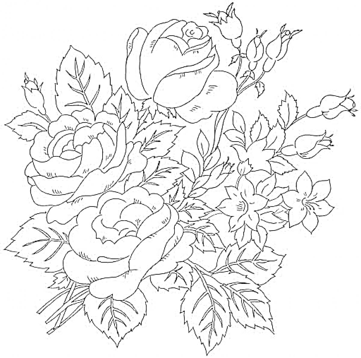 На раскраске изображено: Листья, Цветы, Букет цветов, Бутон, Пионы