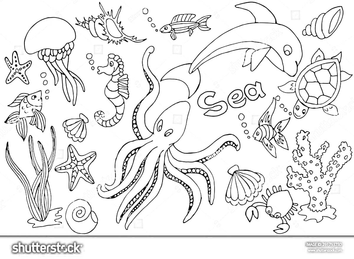 Раскраска Медуза, морская звезда, морские водоросли, раковина, рыба, морской конек, осьминог, кит, черепаха, ракушка, коралл, пузырьки, надпись 
