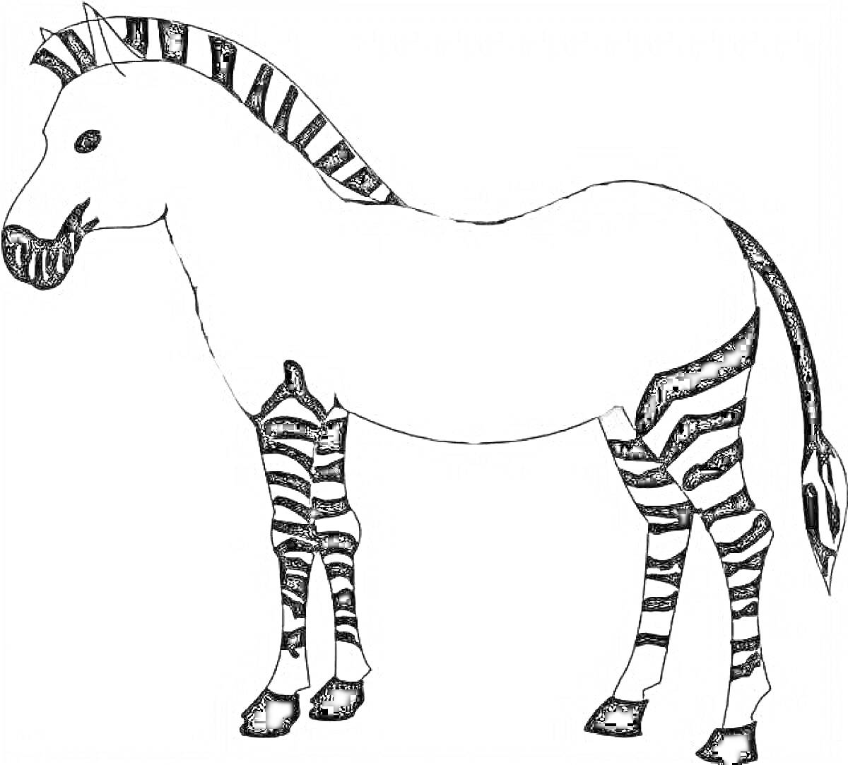 Раскраска Зебра без полосок для детей, черно-белая, с полосками на ногах, хвосте, гриве и морде