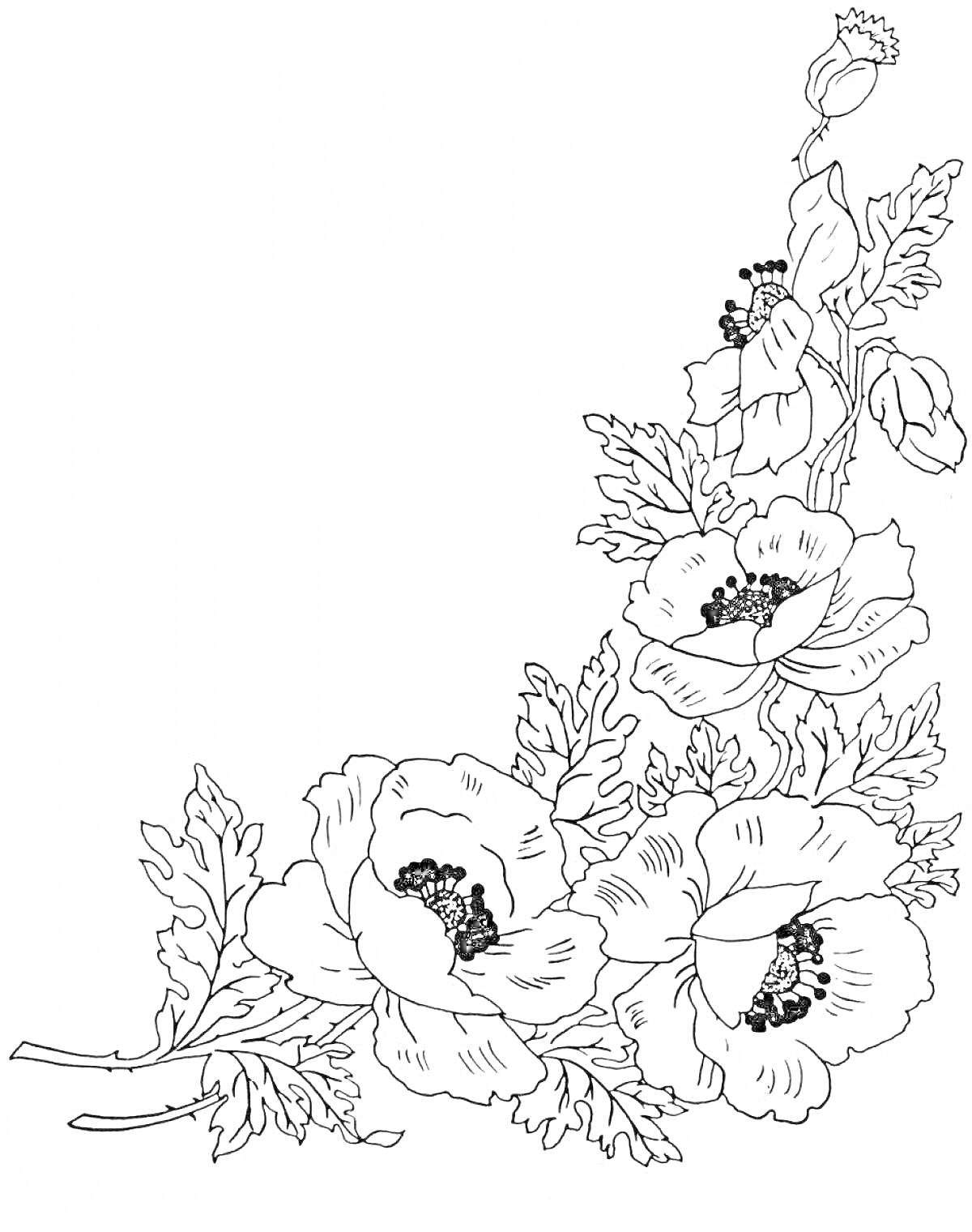 На раскраске изображено: Вышивка, Цветы, Мак, Листья, Цветочный узор