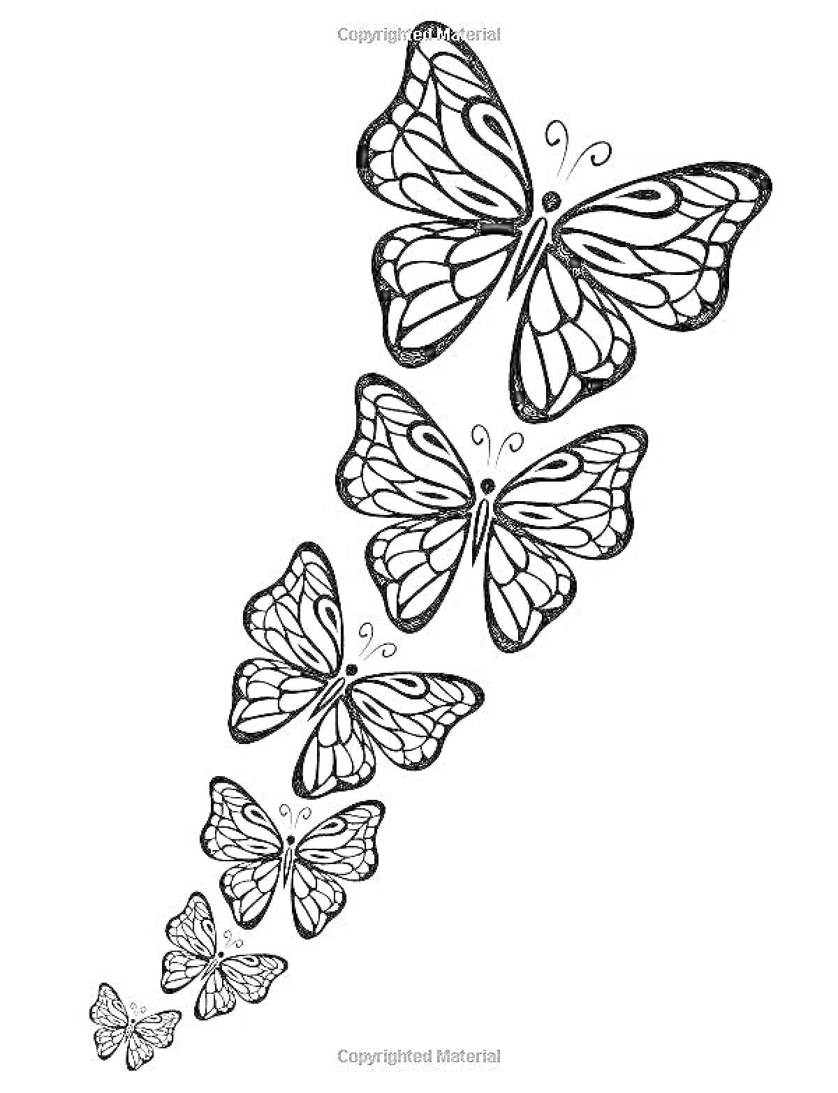 На раскраске изображено: Природа, Ряд, Крылья, Бабочка