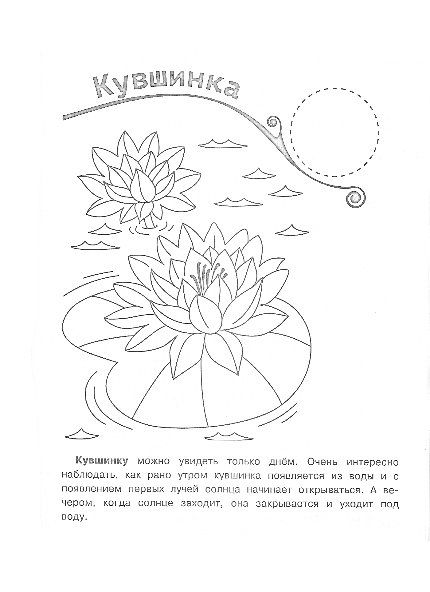 Раскраска Кувшинка на пруду с дополнительными элементами, такими как волны, листья и текст