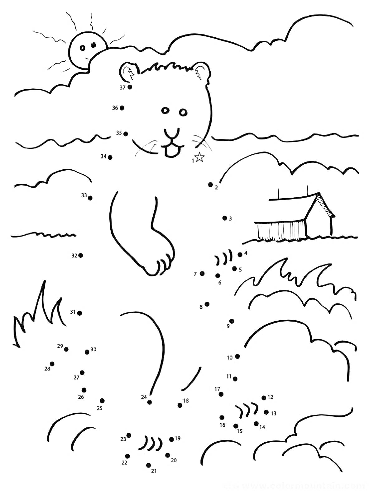 На раскраске изображено: По точкам, Медведь, Солнце, Облака, Домик, Природа