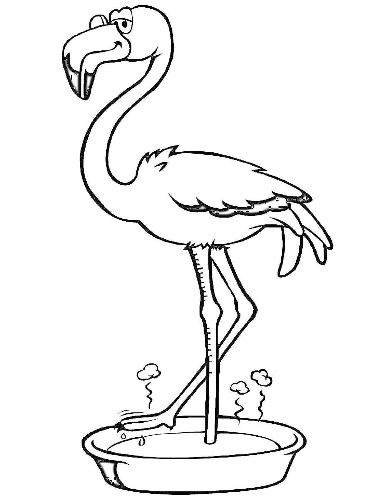 Раскраска Фламинго с очками в миске с горячей водой