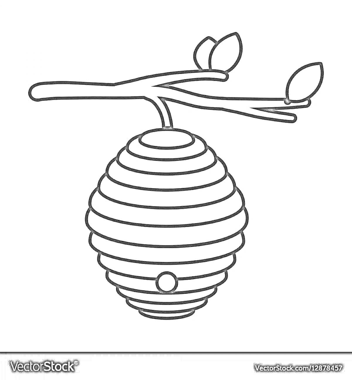 На раскраске изображено: Улей, Ветка, Листья, Пчелы, Природа
