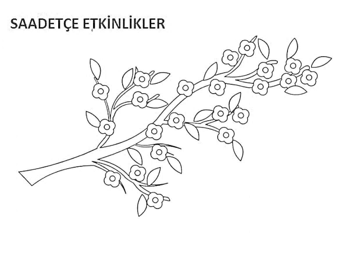 На раскраске изображено: Ветка, Листья, Цветы, Природа, Растения