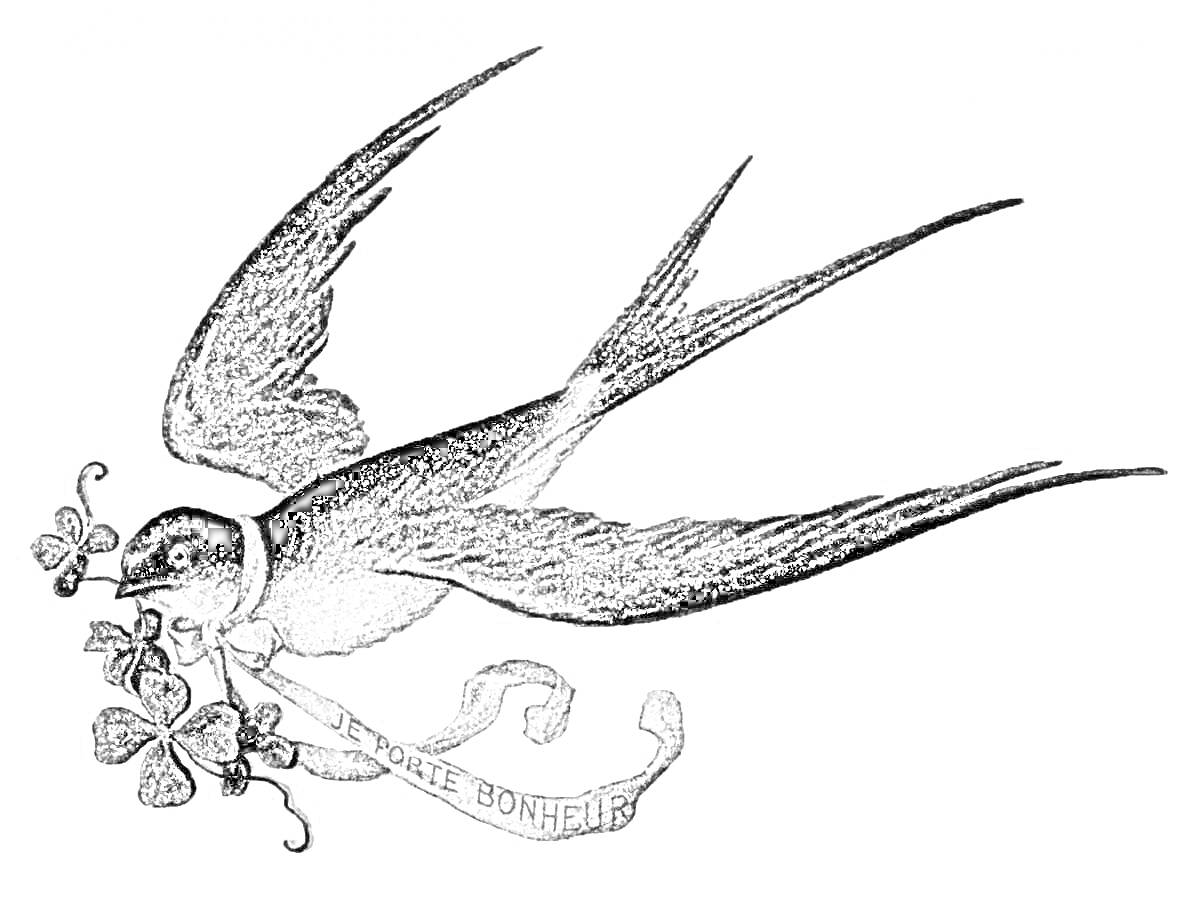 Раскраска Летящая қарлығаш с клеверным листом во рту и лентой с надписью