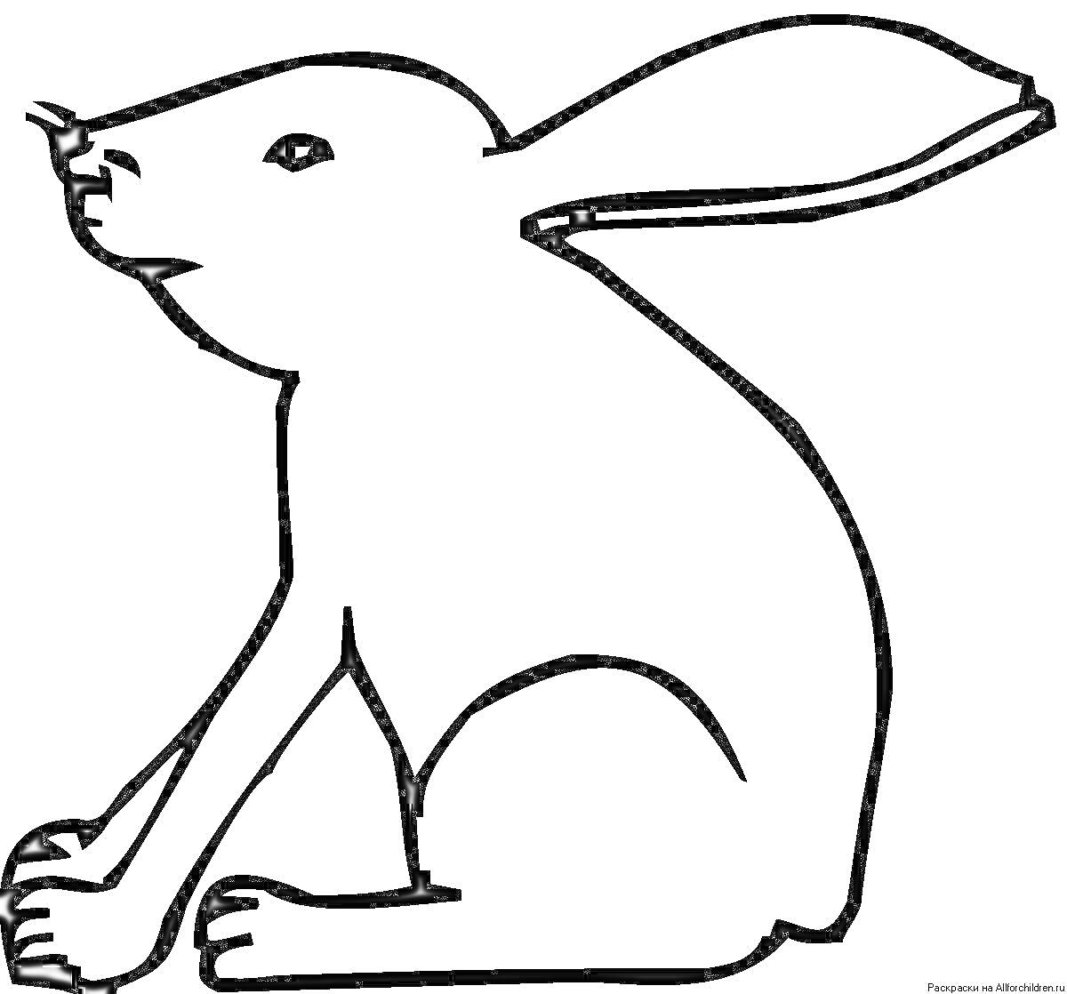 На раскраске изображено: Заяц, Животные, Линии, Контурные рисунки, Сидеть