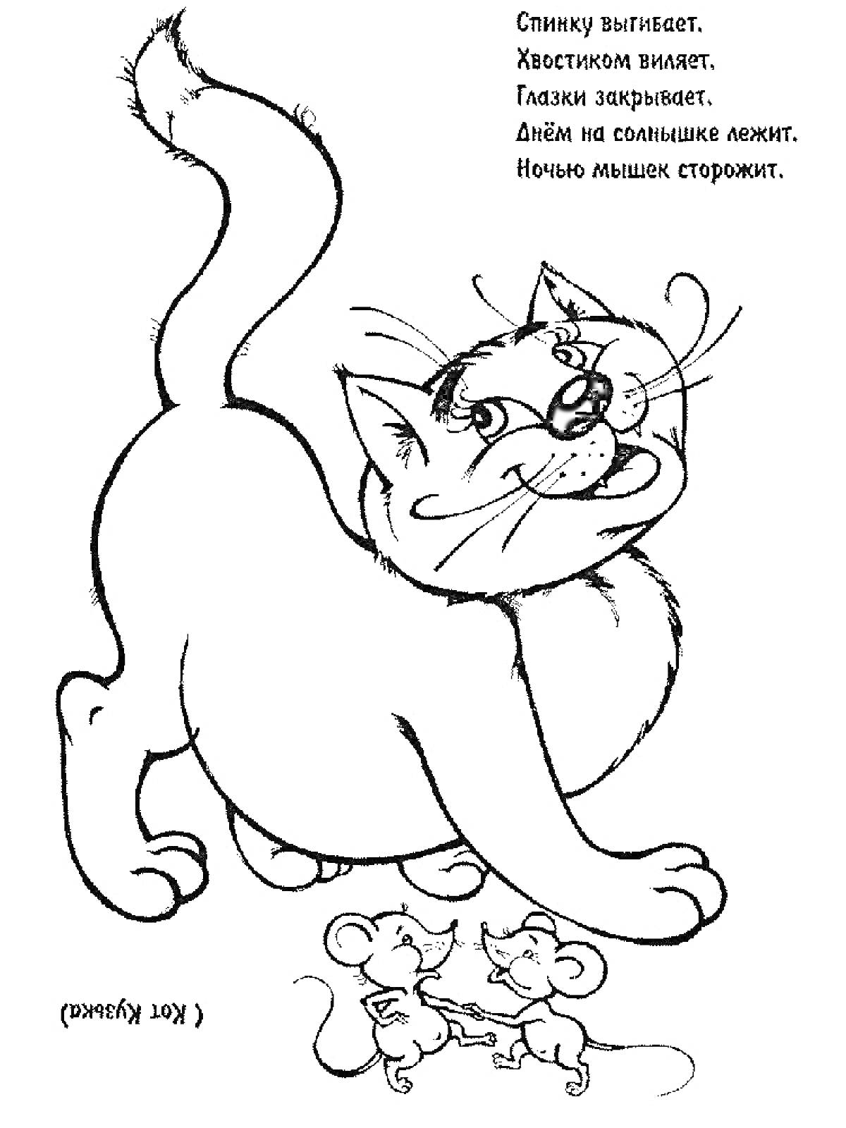Раскраска Кот с мышами и загадкой