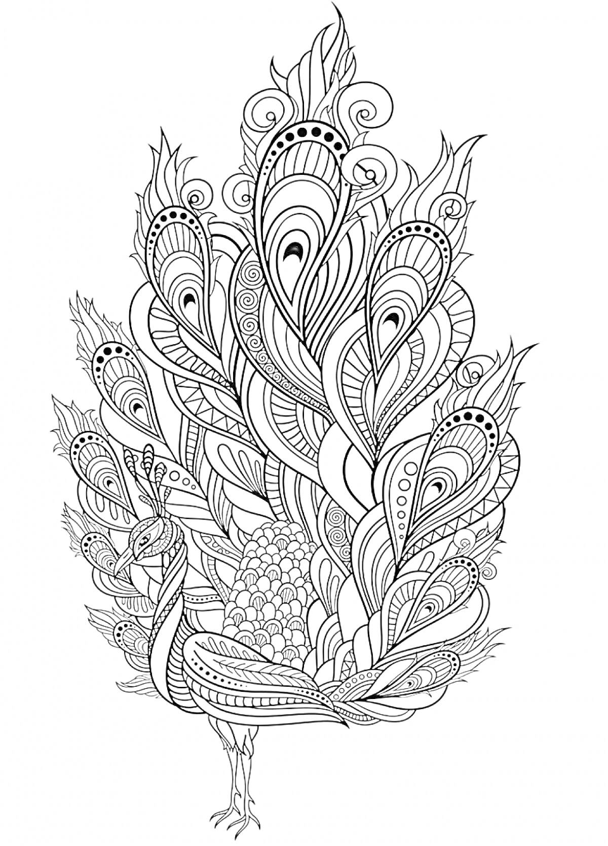 Раскраска Антистресс раскраска павлин с узорными деталями на перьях и сложными линиями