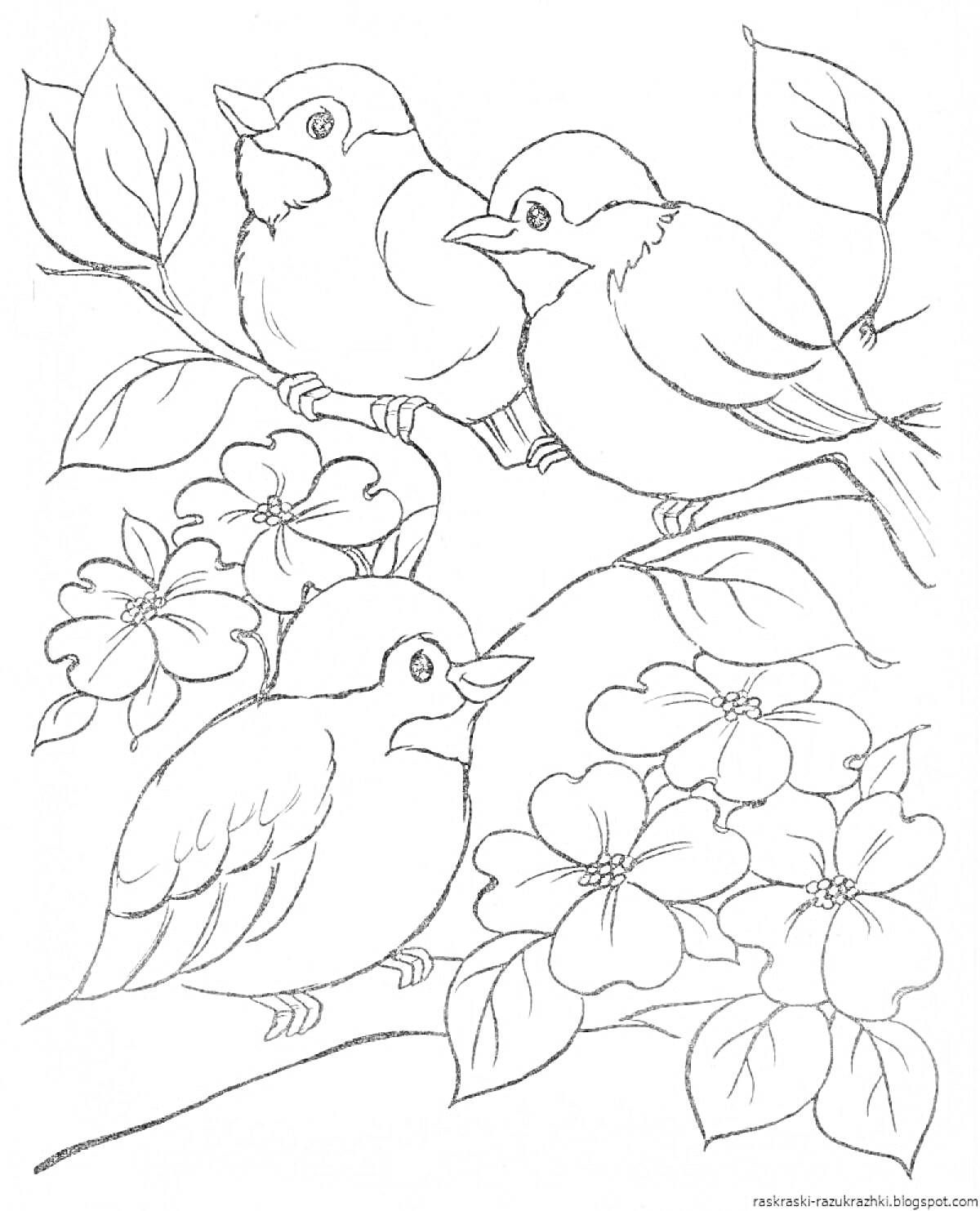 Раскраска Птички сидят на ветке с листьями и цветами