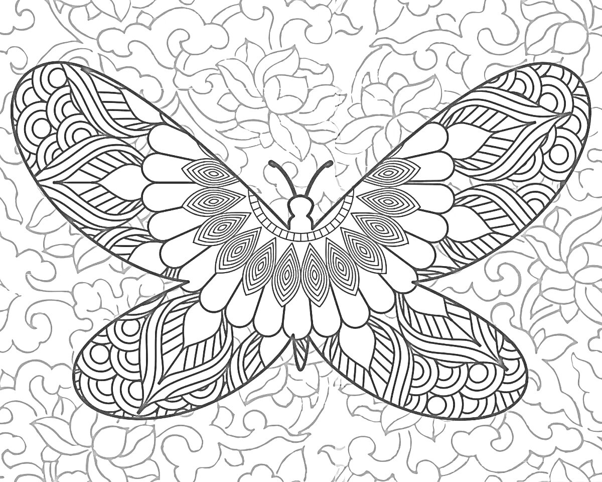 Раскраска Бабочка с узорными крыльями на фоне завитков