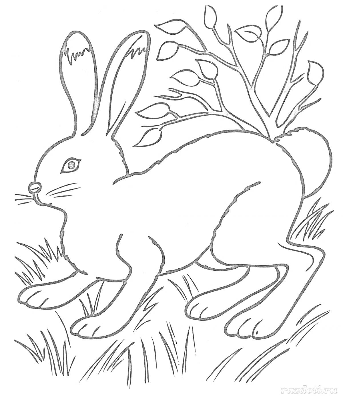 Раскраска Кролик на поляне среди травы и веток дерева