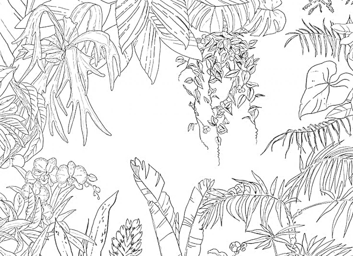 На раскраске изображено: Тропические растения, Листья, Ботаника, Природа, Растения, Лианы