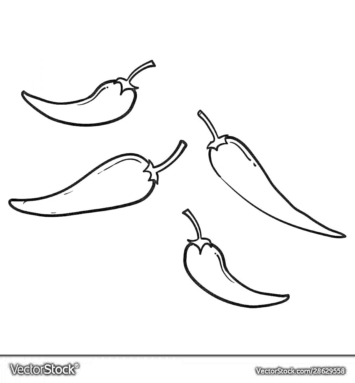 На раскраске изображено: Перец чили, Овощи, Острый перец