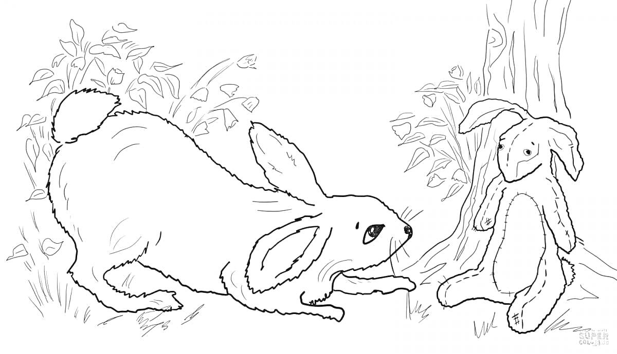 На раскраске изображено: Заяц, Зайцы, Трава, Природа