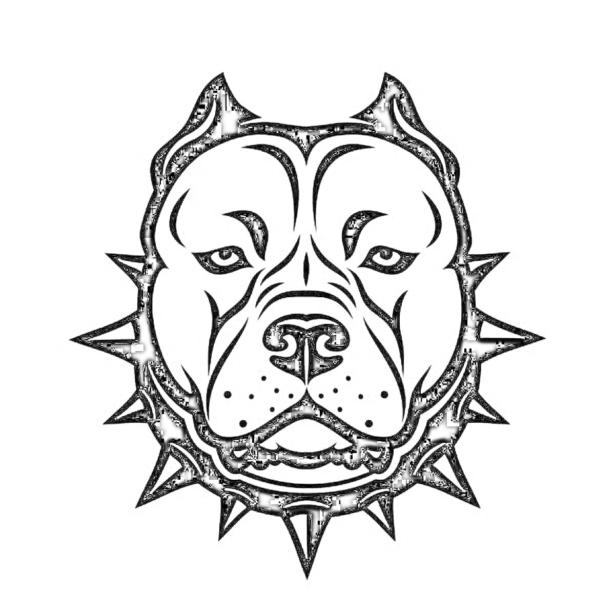 Раскраска Голова амстаффа в ошейнике с шипами