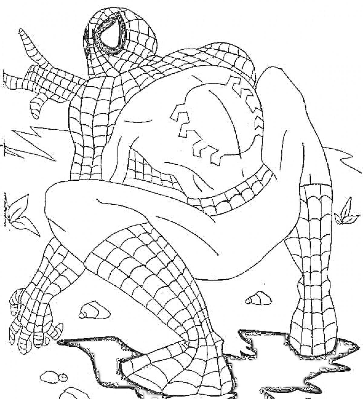 Раскраска Человек-паук (силуэт), паутина, камни, растения