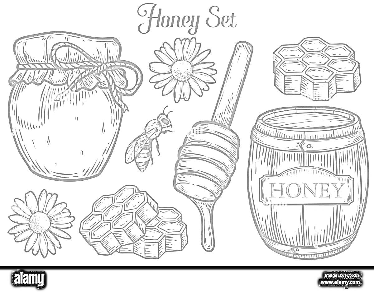 Набор элементов с бочонком меда, пчелой, медовой палочкой, цветками, банкой меда и сотами