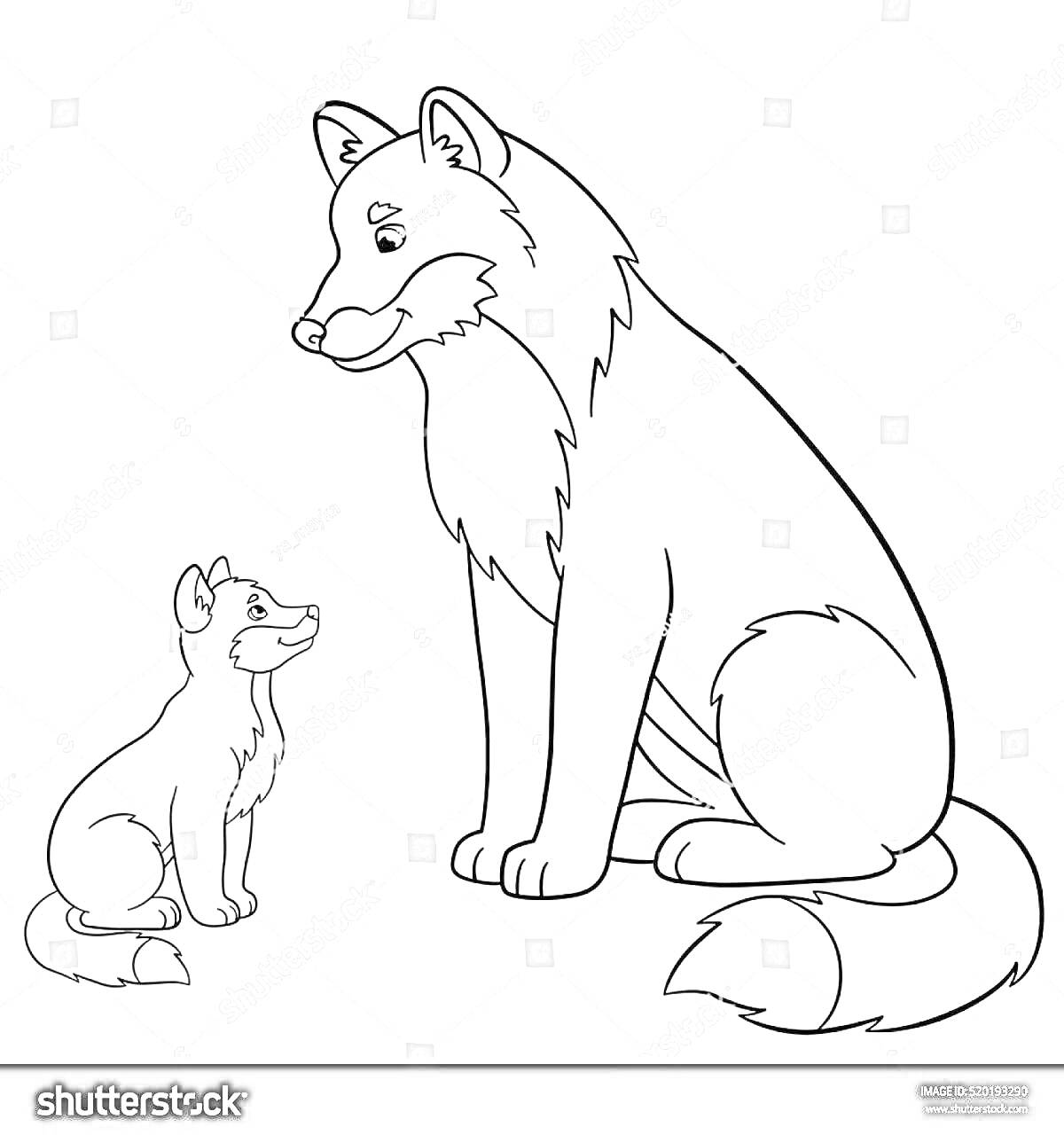 На раскраске изображено: Волчонок, Животные, Природа