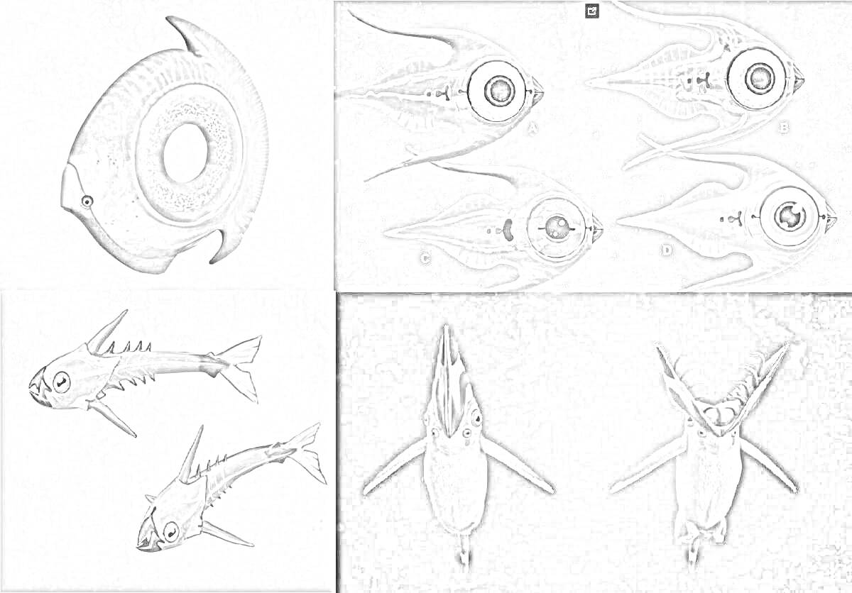 Раскраска Морские существа (крючки, вращающиеся существа, крылатые рыбы)
