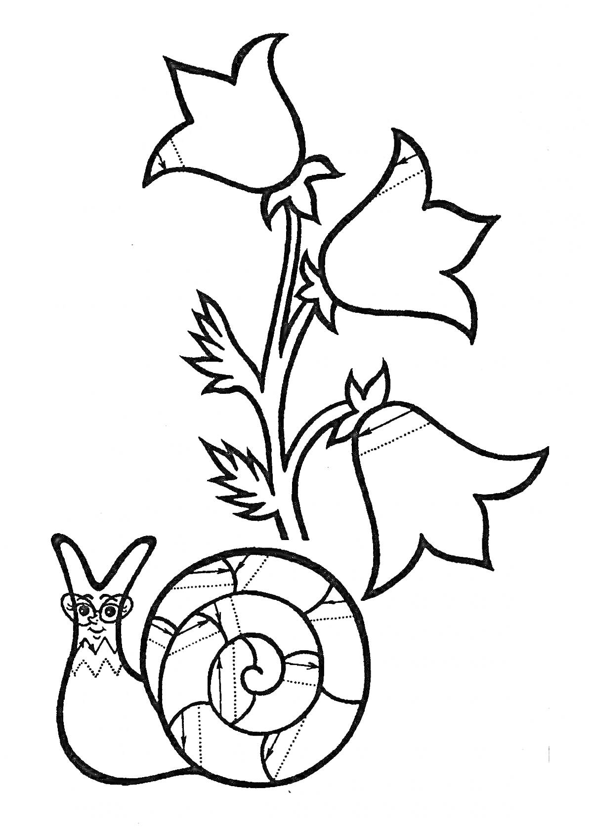 Раскраска Улитка и цветы с элементами штриховки