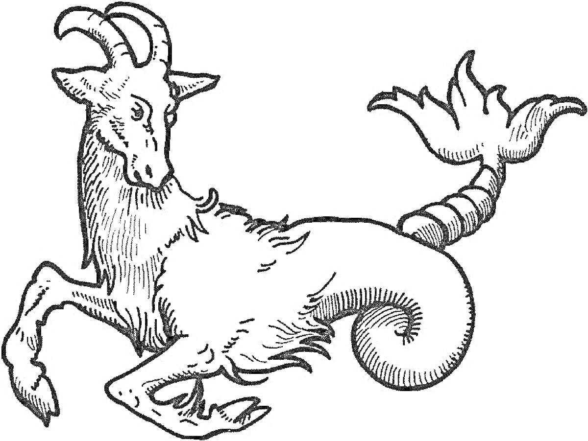 На раскраске изображено: Козерог, Знак зодиака, Астрология, Рыбий хвост