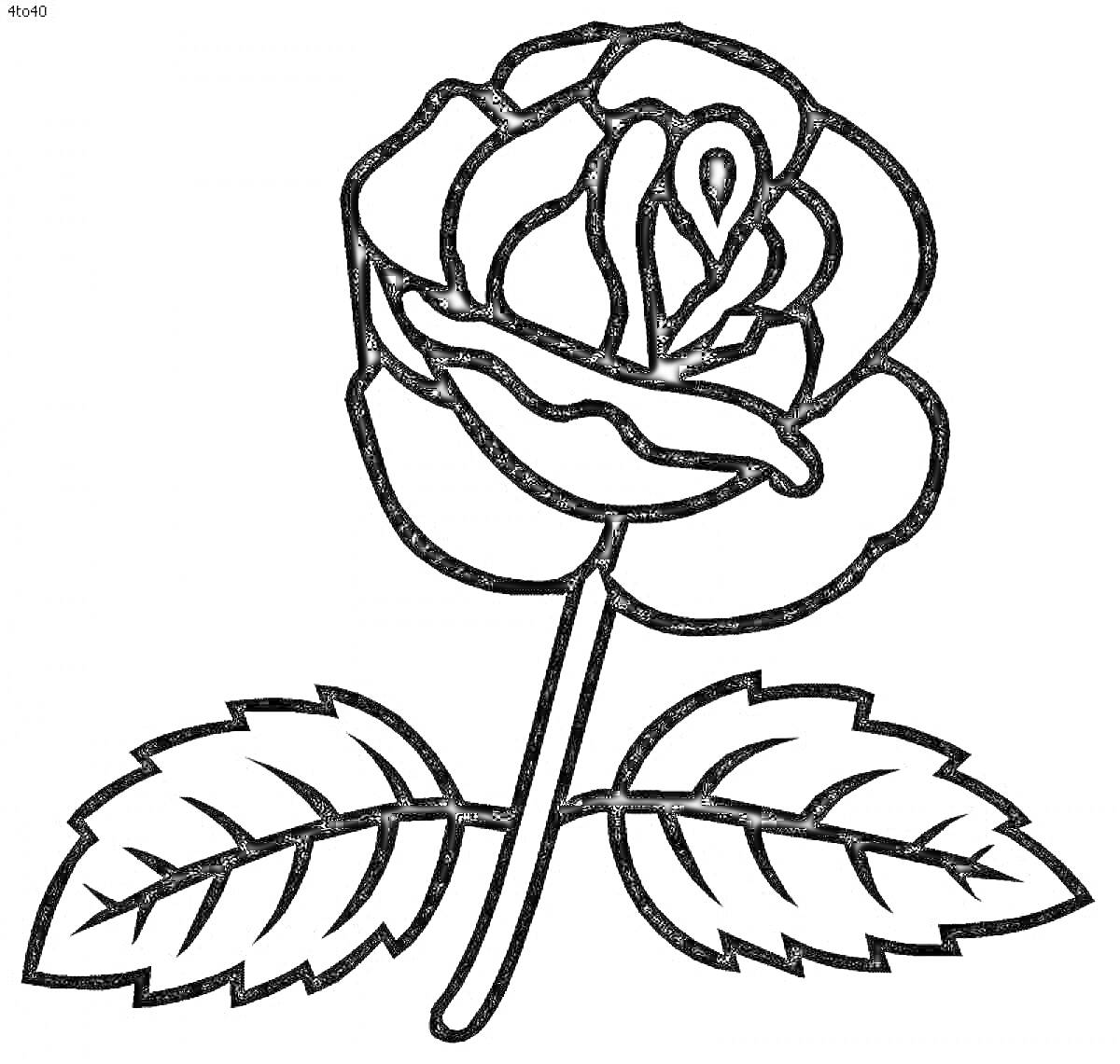 Раскраска Роза с двумя листьями и стеблем