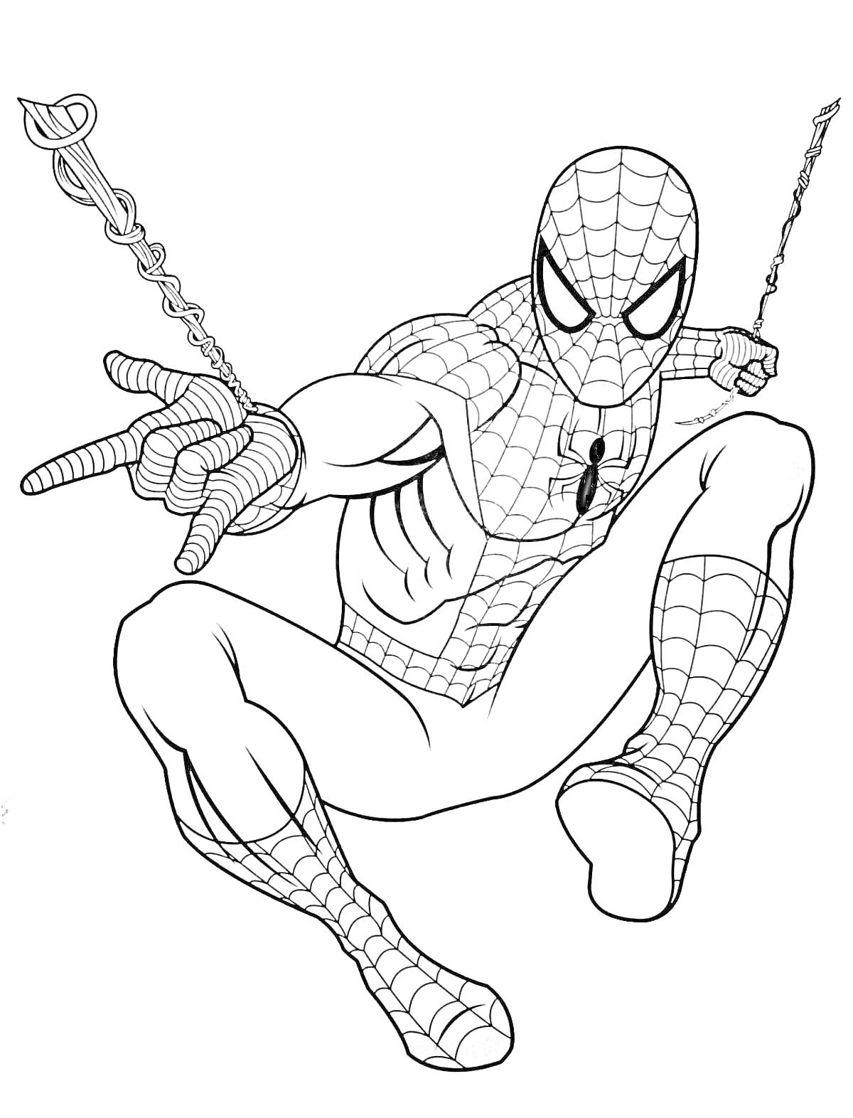 На раскраске изображено: Человек-паук, Агрессивный, Паутина, Костюм