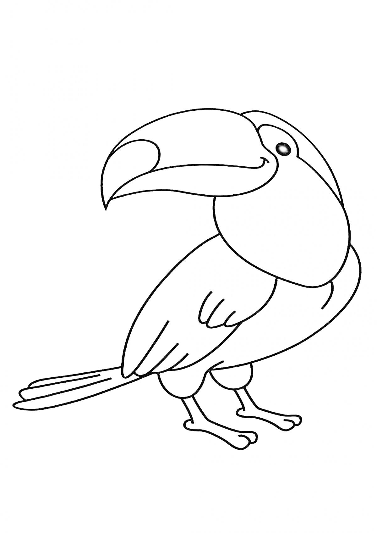 На раскраске изображено: Тукан, Птица, Стоящая птица, Фауна, Орнитология, Для детей, Контурные рисунки