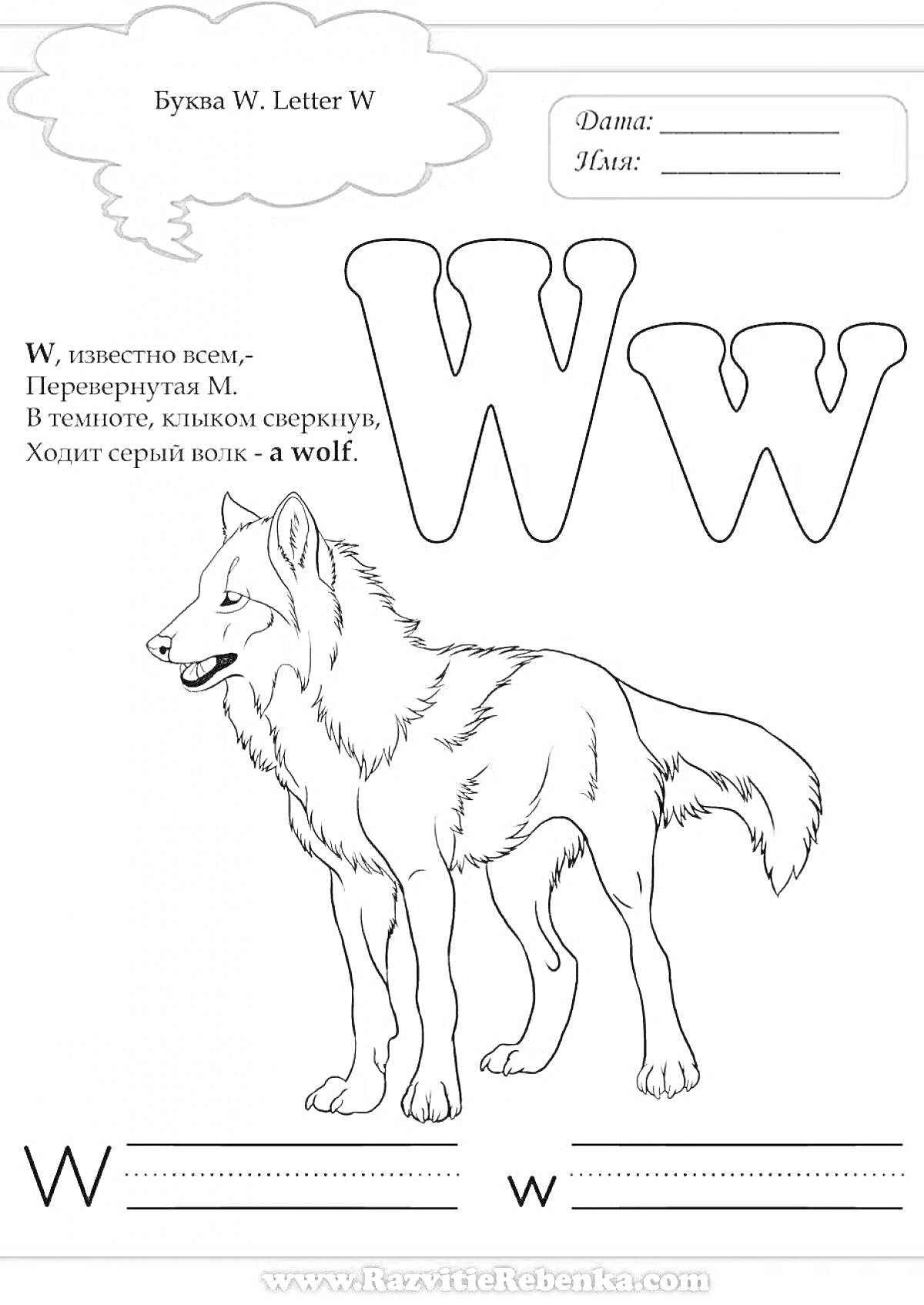 На раскраске изображено: Буква W, Английский алфавит, Волк, Образование, Обучение, Животные