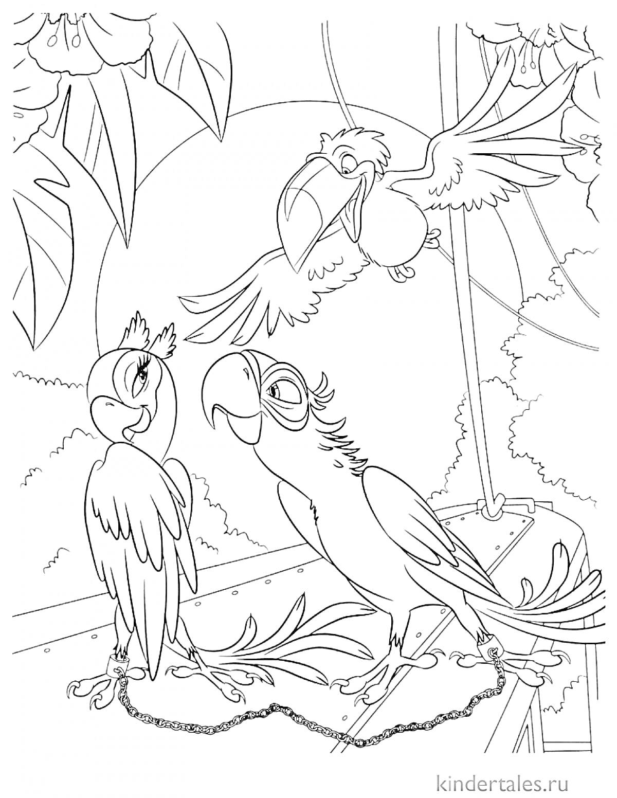 На раскраске изображено: Для девочек, Попугаи, Природа, Листья, Цепь