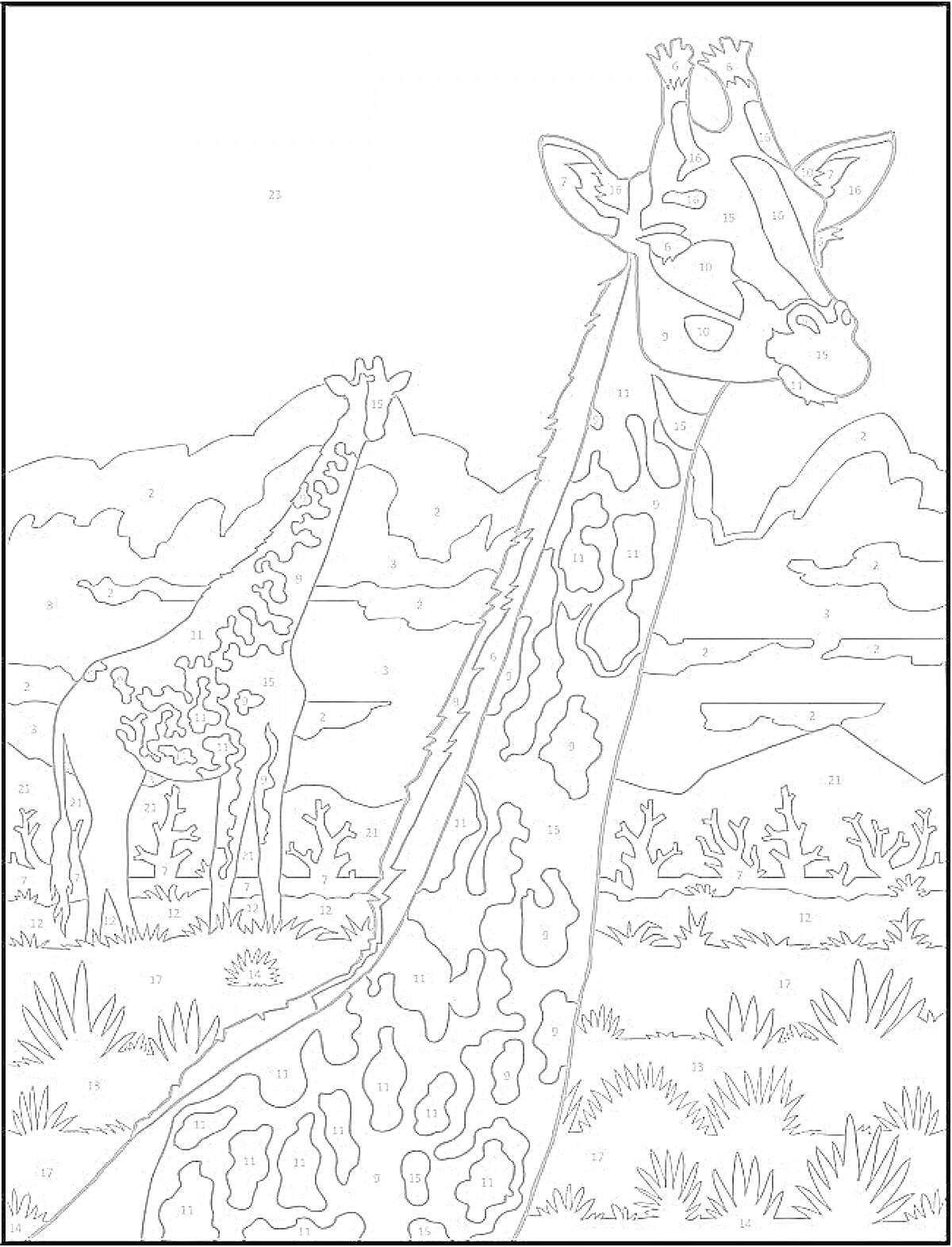 На раскраске изображено: Жирафы, По номерам, Животные, Саванна, Растительность, Горы, Небо